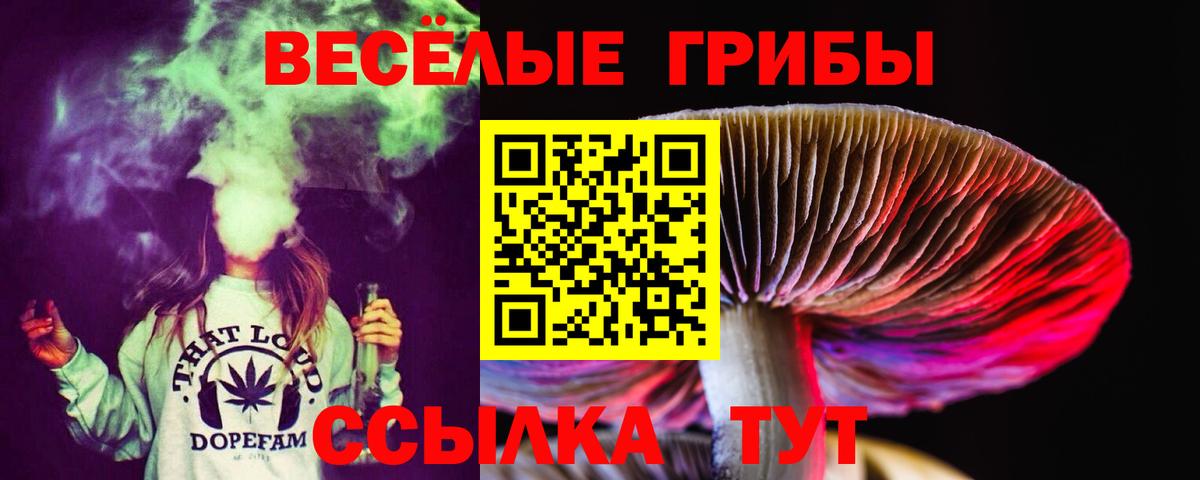 Псилоцибиновые грибы Cubensis  Вход с VPN  купить наркотик  Янаул  Псилоцибиновые грибы Psilocybe 